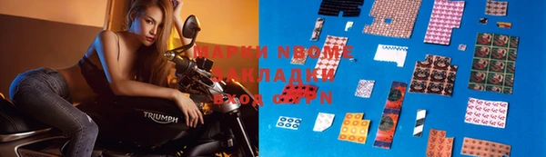 индика Тихвин