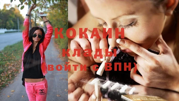 эйфоретик Майский