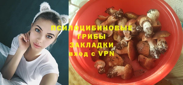 эйфоретик Майский
