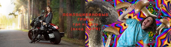ГАЛЛЮЦИНОГЕННЫЕ ГРИБЫ Медвежьегорск