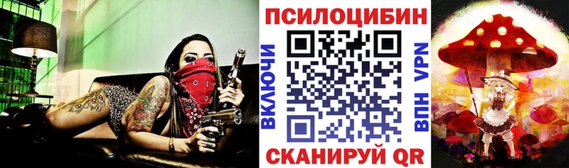 Псилоцибиновые грибы Psilocybe  гидра маркетплейс  Таруса 